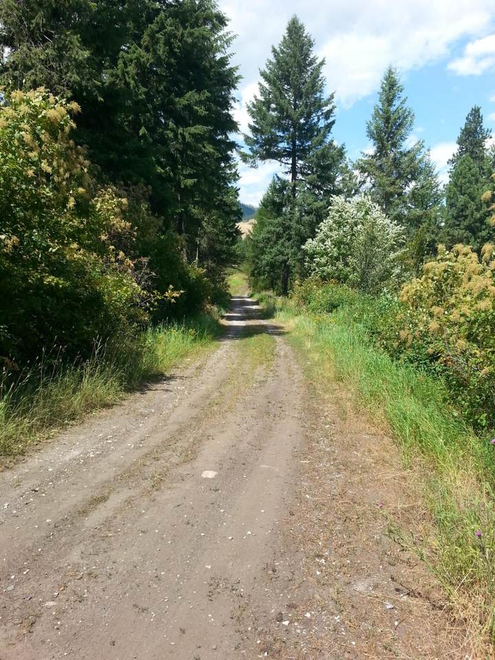 3378 H Hill Loop Rd - Photo 1