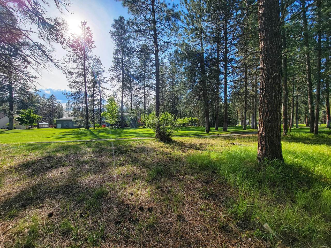 138 Trappers Loop - Photo 1