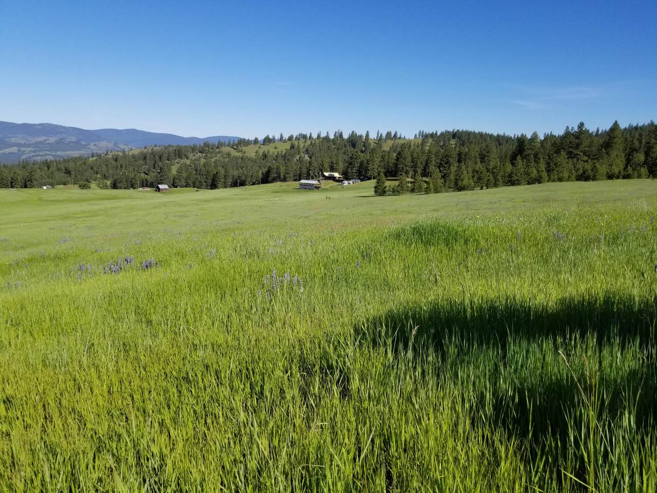 49 Old Ranch House Rd - Photo 1
