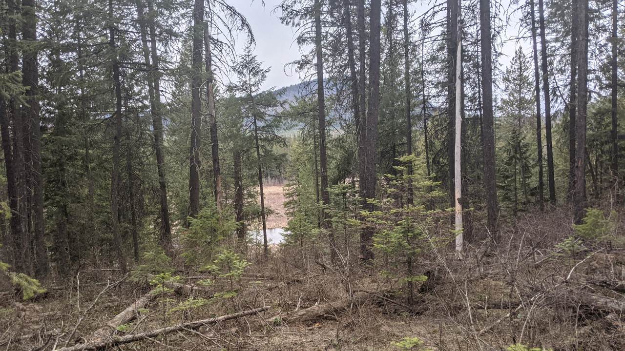 NKA Bear Rd - Photo 1