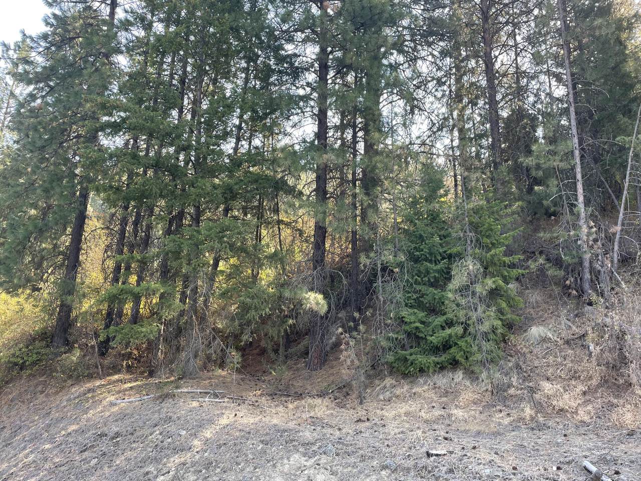 XXXX Bissell Rd - Photo 1