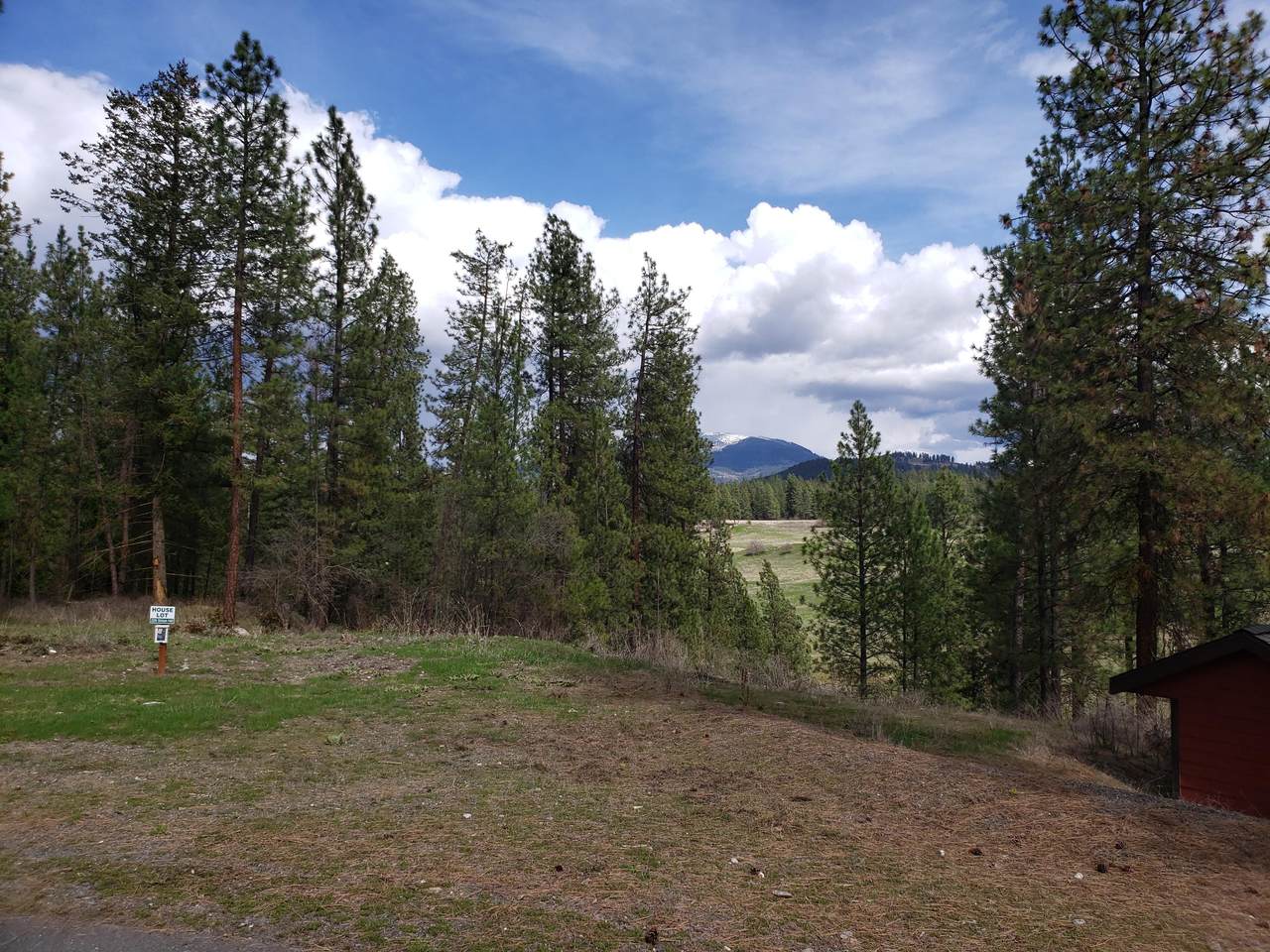 226 Shiloh Hill Way - Photo 1