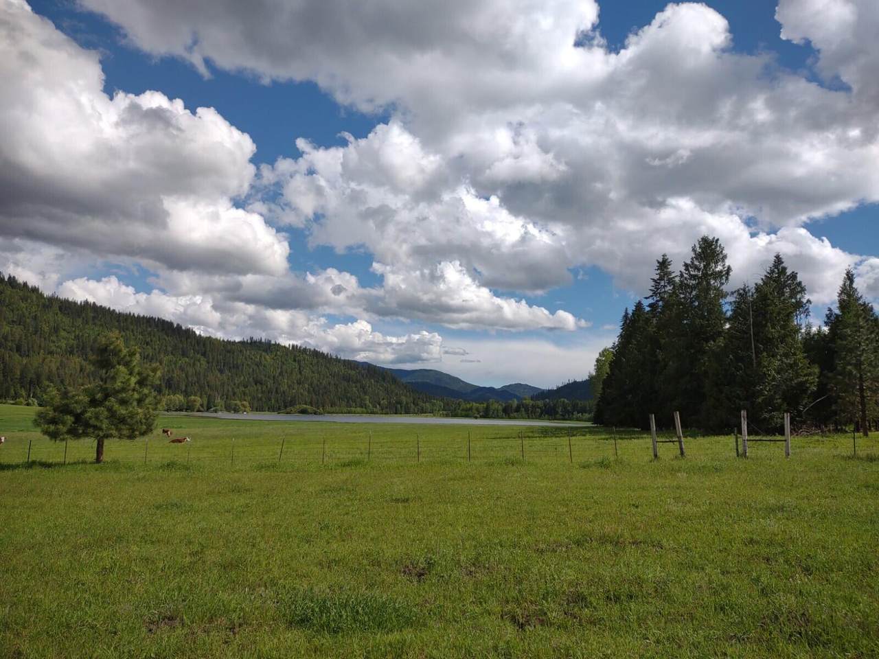 36XX Deep Lake Boundary Rd - Photo 1