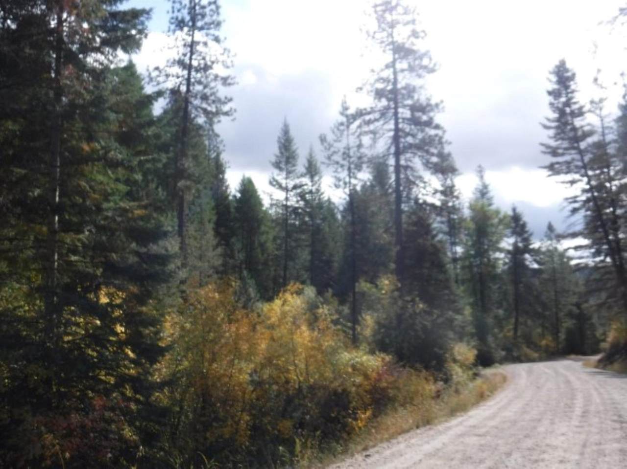 XX Springdale Hunters Rd - Photo 1