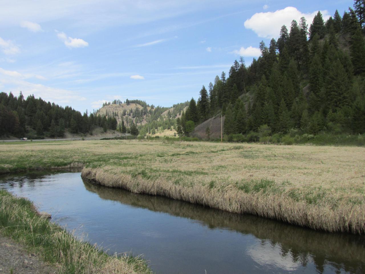 TBD Hwy 21 - Photo 1