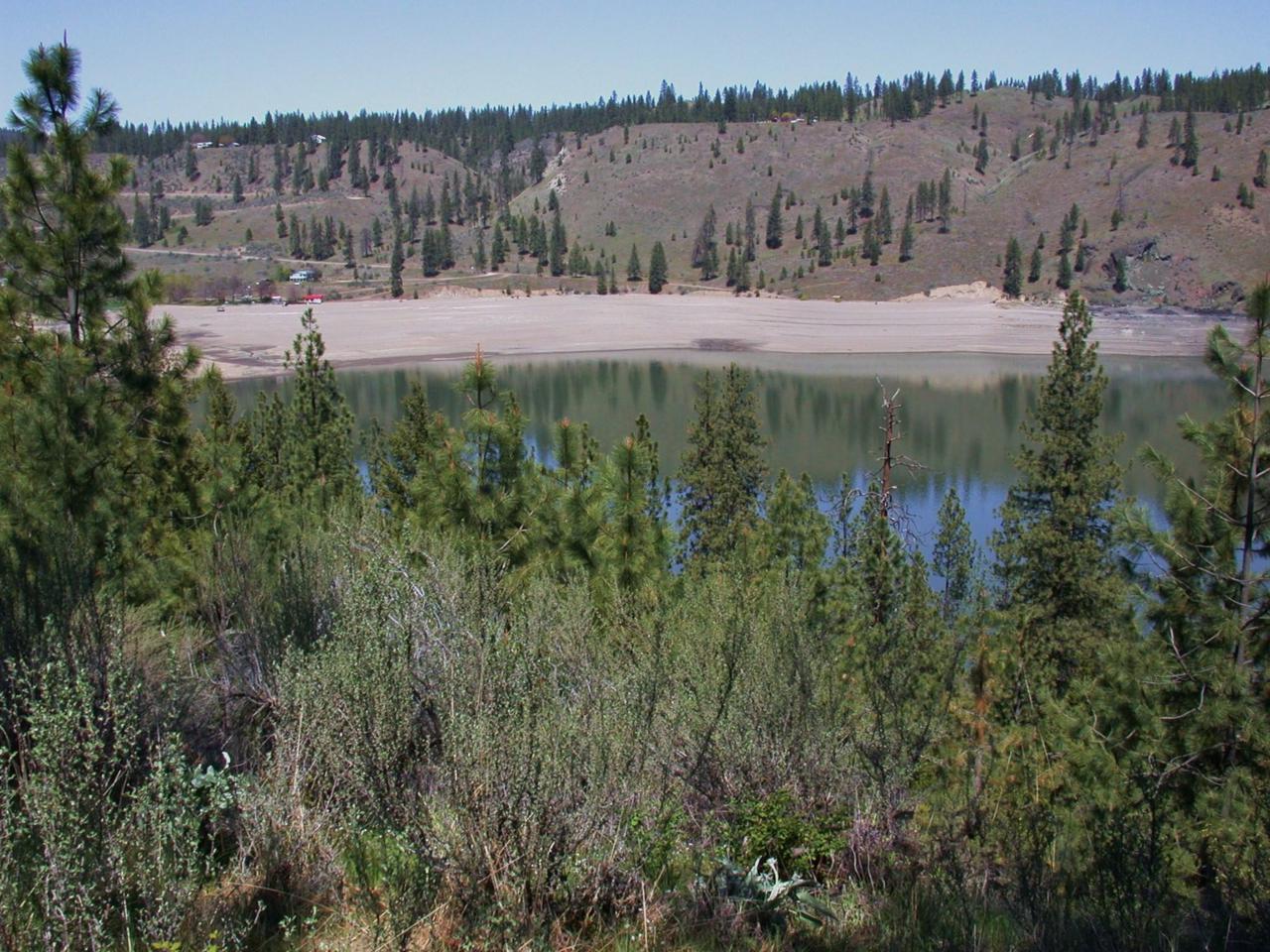 0000 Egypt Loop Rd - Photo 1