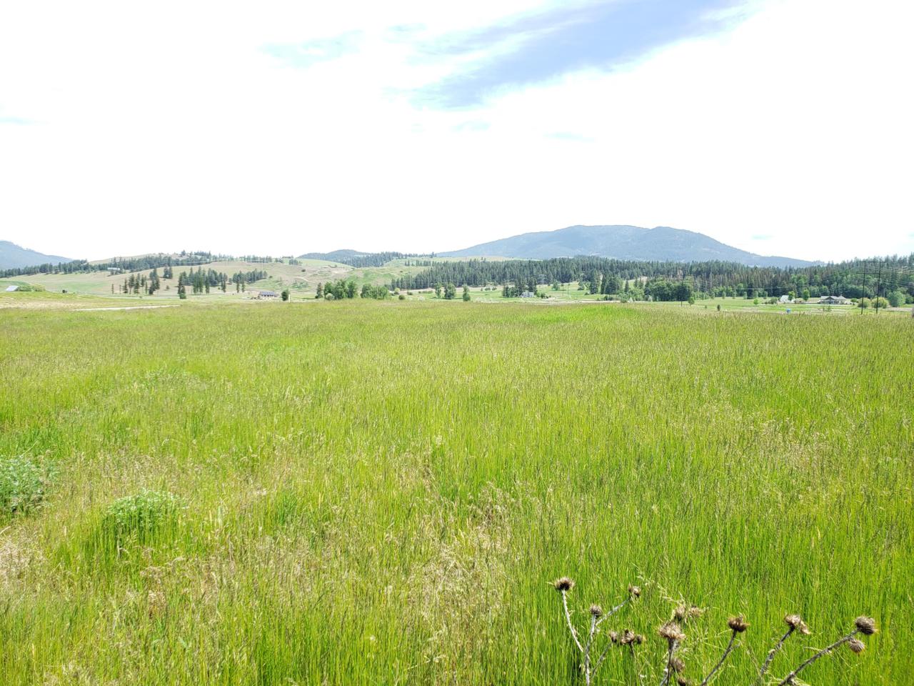 2130 Ringneck Loop - Photo 1