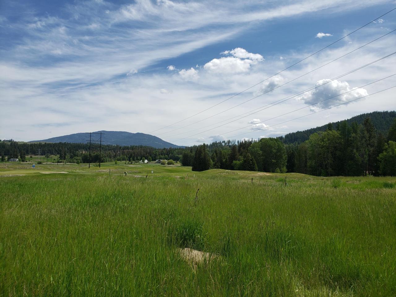 2088 Ringneck Loop - Photo 1