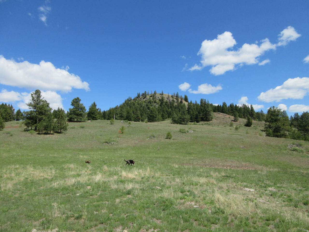 TBD Old Stage Rd - Photo 1