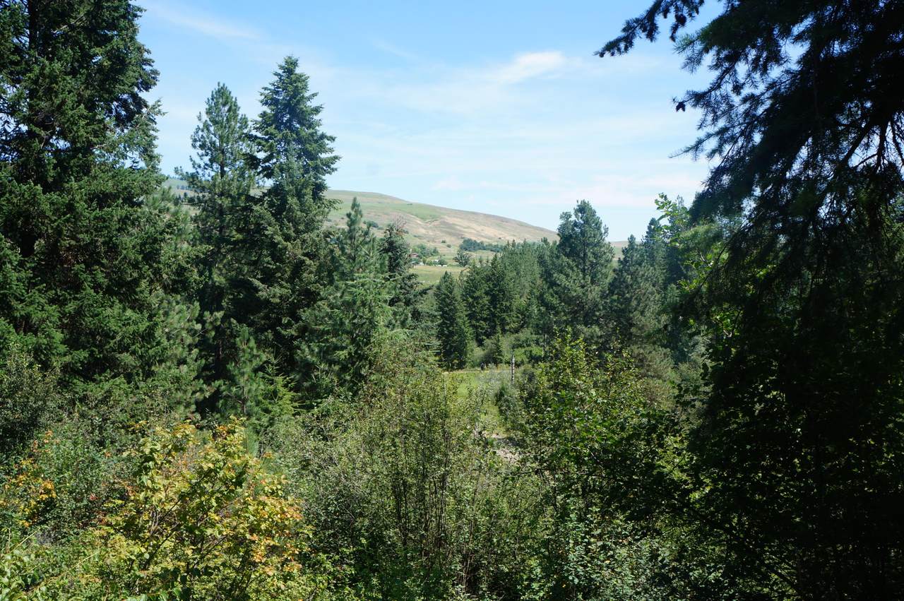 25XX B Bridgeman Rettinger Rd - Photo 1