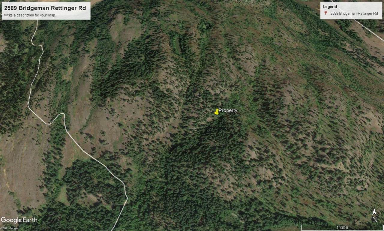 25XX Bridgeman Rettinger Rd - Photo 1