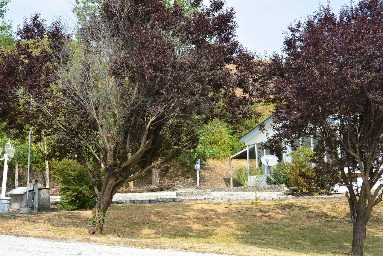 2710 Farm Market Rd - Photo 1