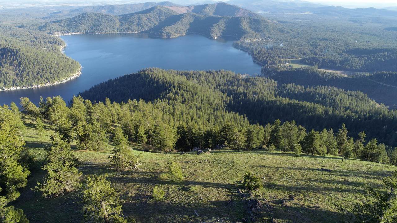 NKA Deer Lake Rd - Photo 1