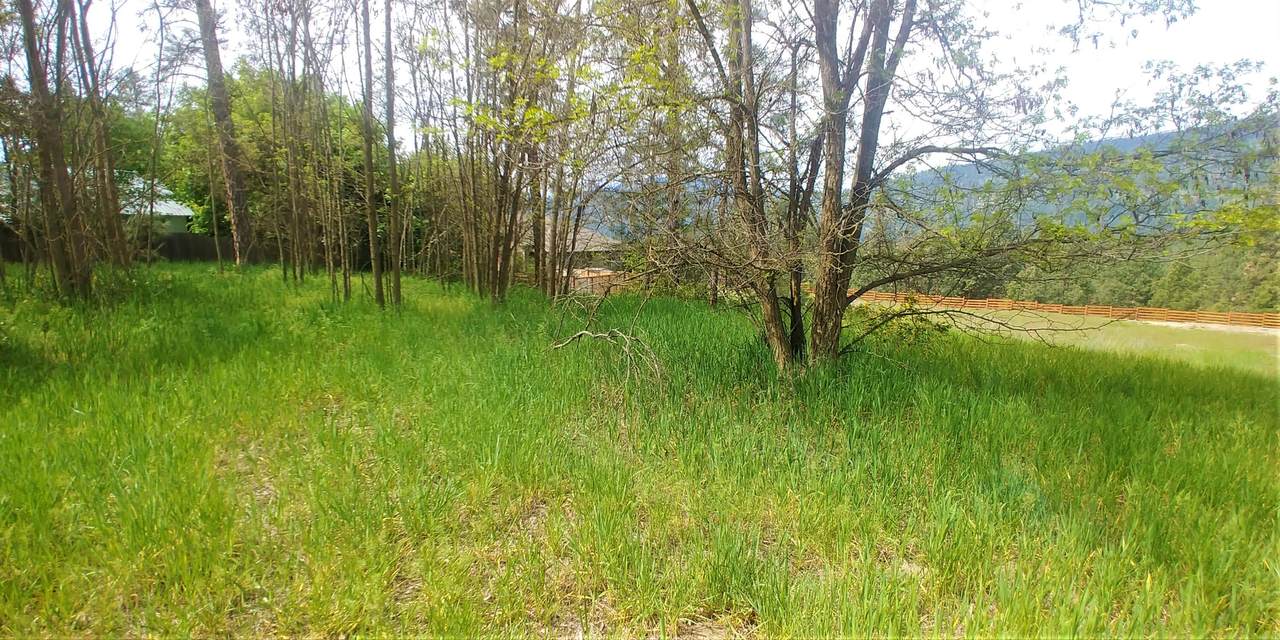 1348 Columbia Crest Way - Photo 1