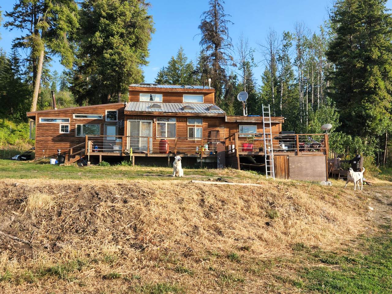 48 Jacknife Cutoff Rd - Photo 1