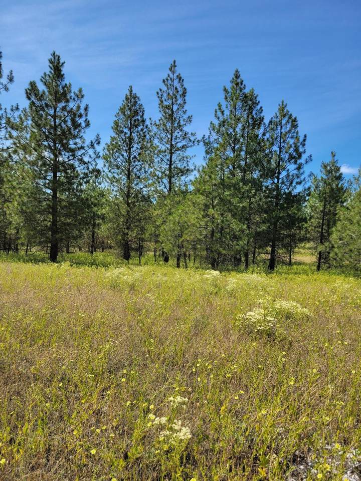 5812 Martha Boardman Rd - Photo 1