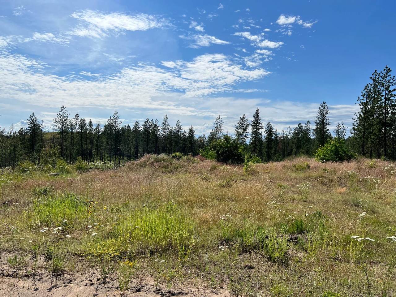 TBD Coyote Canyon Rd - Photo 1