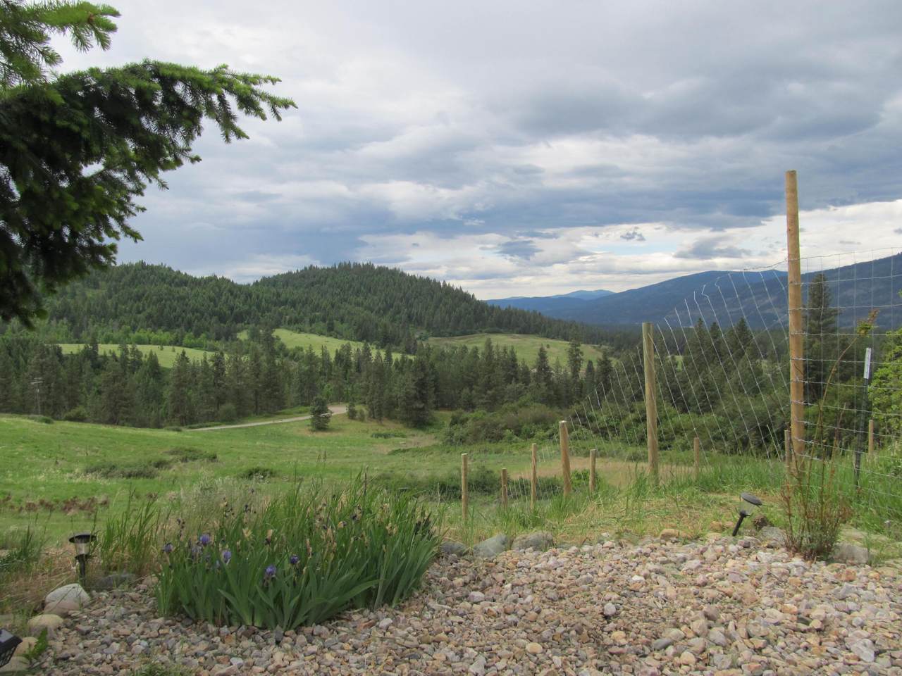 1625 Bear Mountain Way - Photo 1
