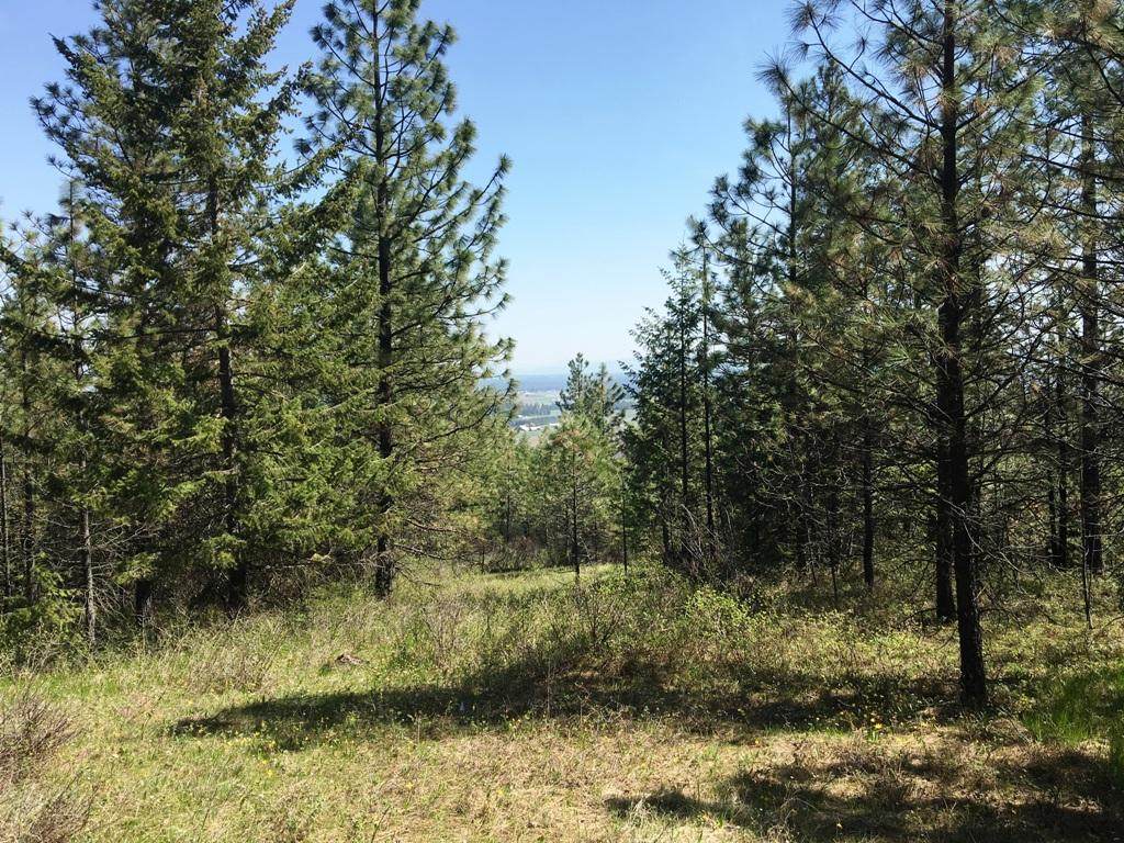 52XX Quail Ridge Way - Photo 1