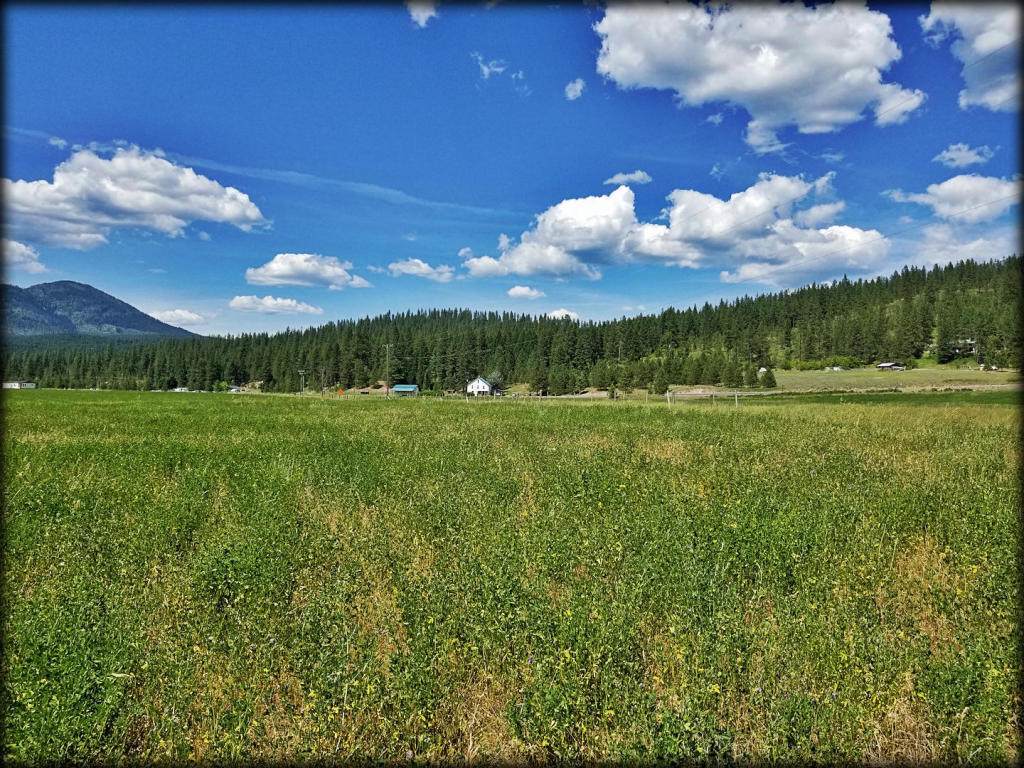 TBD Bible - Parcel A Rd - Photo 1
