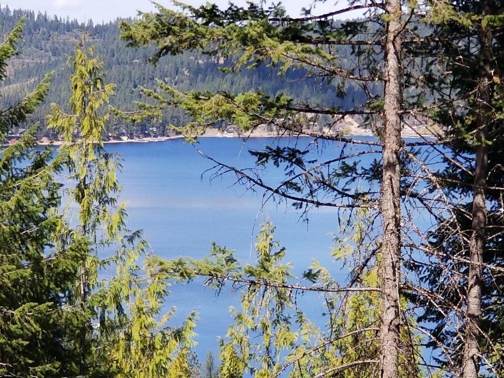 XXXTBD Deer Lake Rd - Photo 1