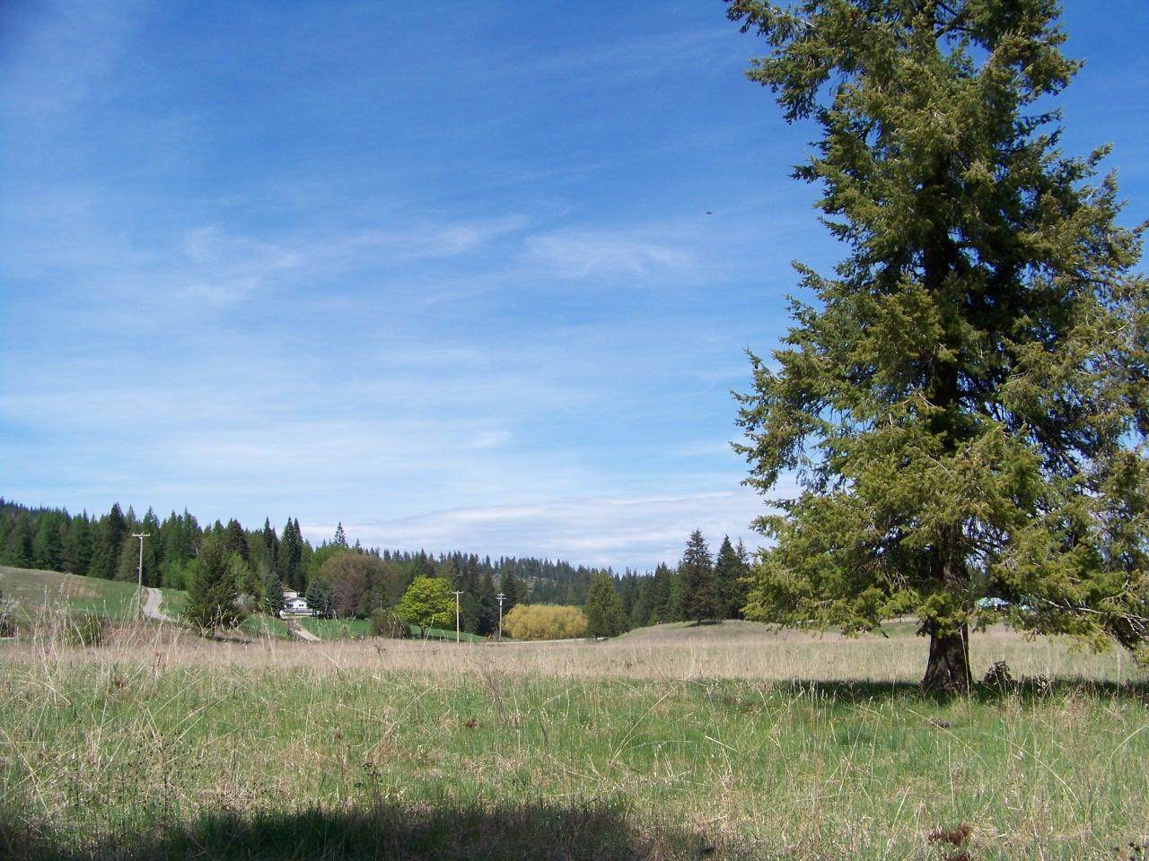 L2 Spring Valley Rd - Photo 1