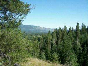 LOT 4 Schlegel Ranch Rd - Photo 1
