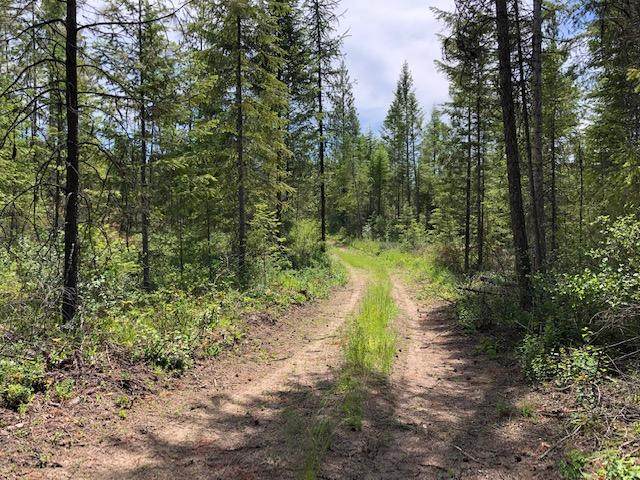 TBD LOT C Karls Way - Photo 1