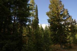 18XX #5 Hwy 25 N - Photo 1