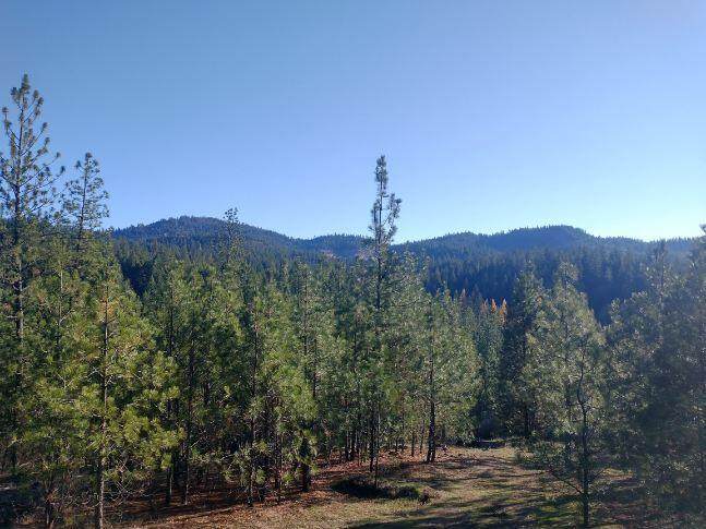 4610 B Hidden Rd - Photo 1