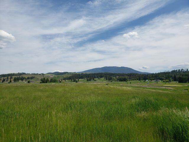 2112 Ringneck Loop - Photo 1