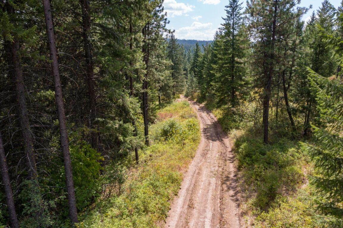 XXX Castle Rock Creek Rd - Photo 1