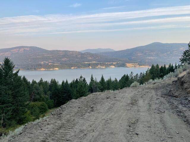TBD Silver Queen Rd - Photo 1