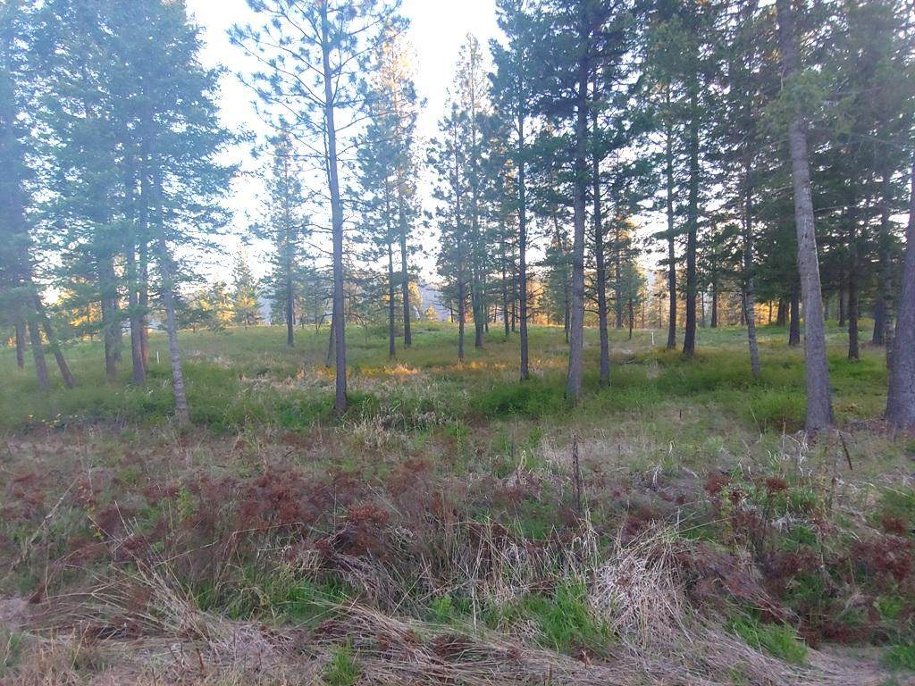 XXX Palmer Loop - Photo 1