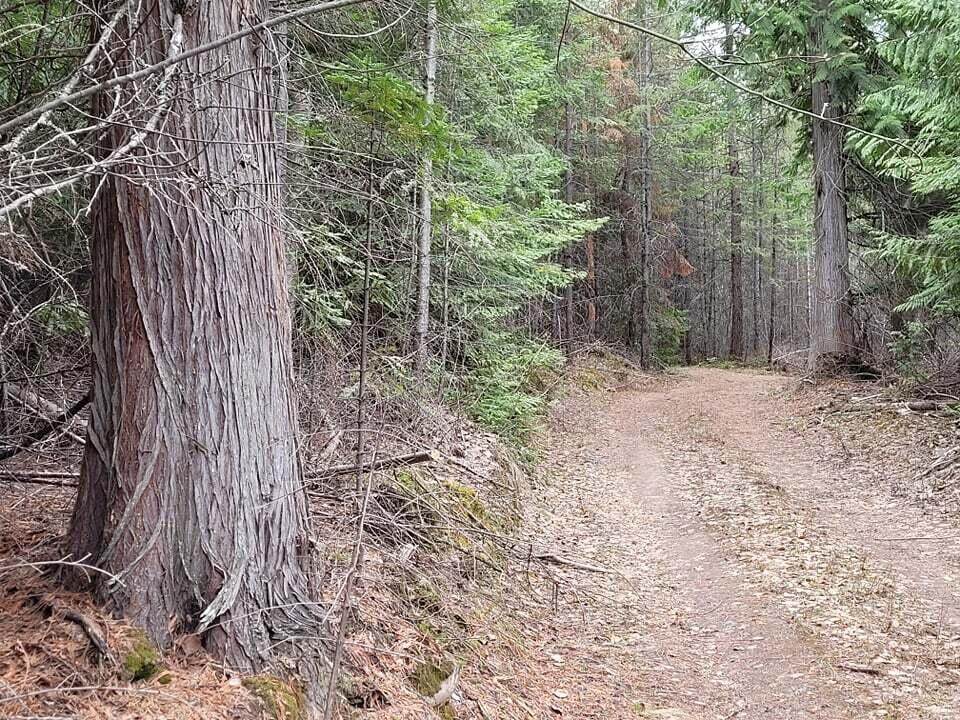 XXX Joe Creek - Photo 1