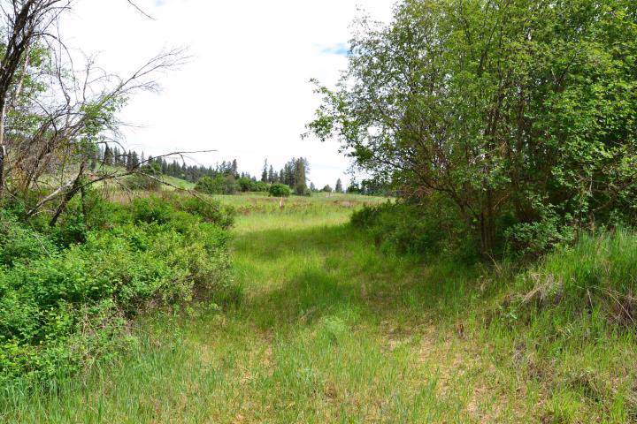 TBD Inchelium Hwy - Photo 1