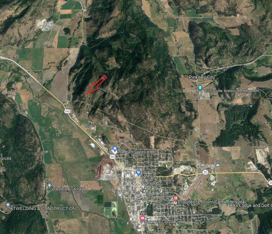 TBD Hwy 395/Williams Lake Rd - Photo 1
