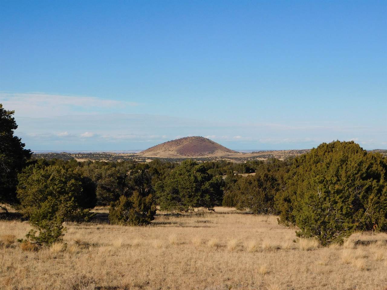 358 Cimarron - Photo 1