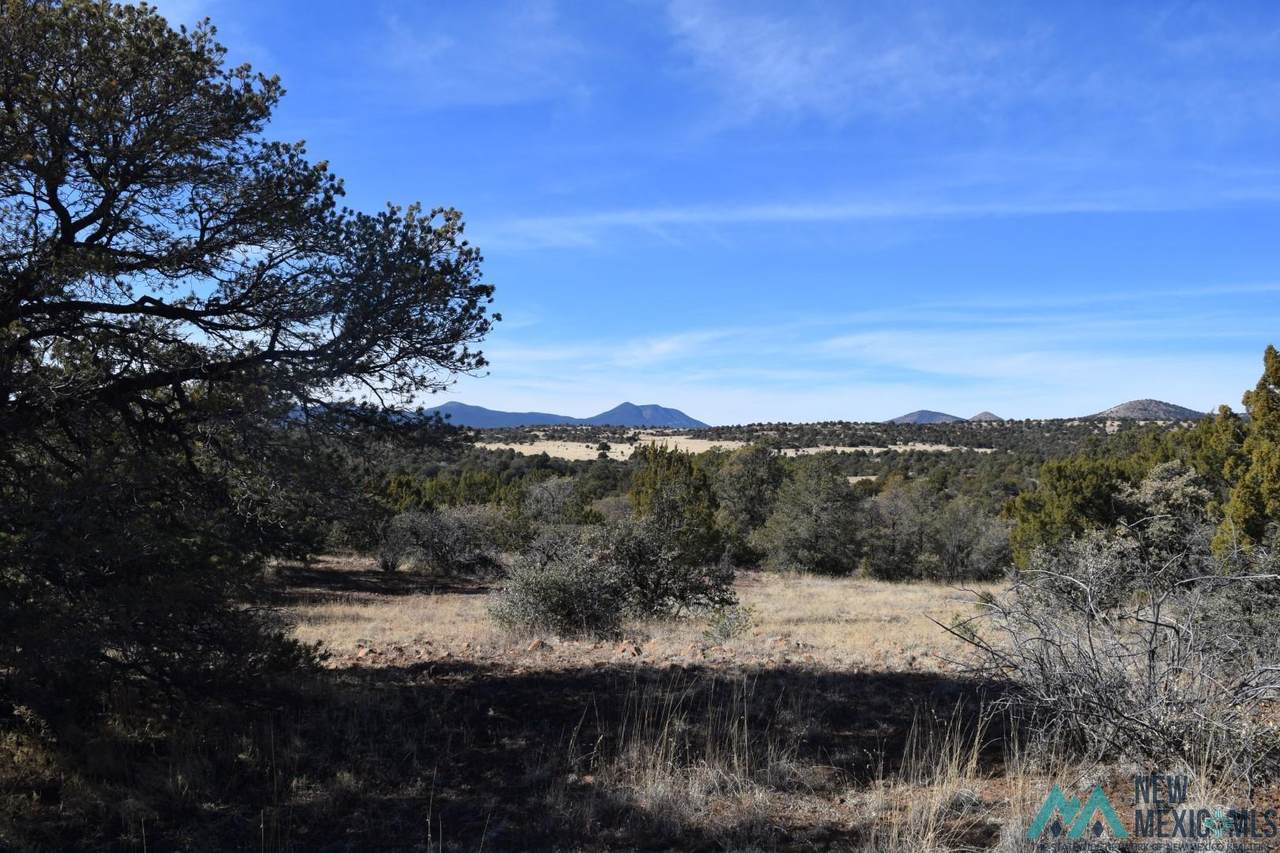 xx Wagon Ridge - Photo 1