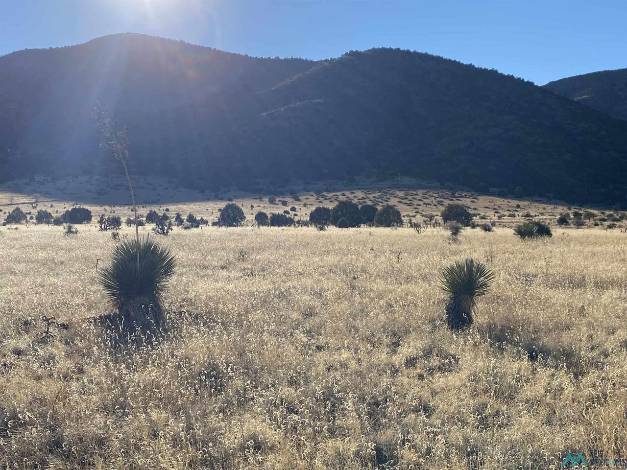 2775 Highway 35 - Photo 1