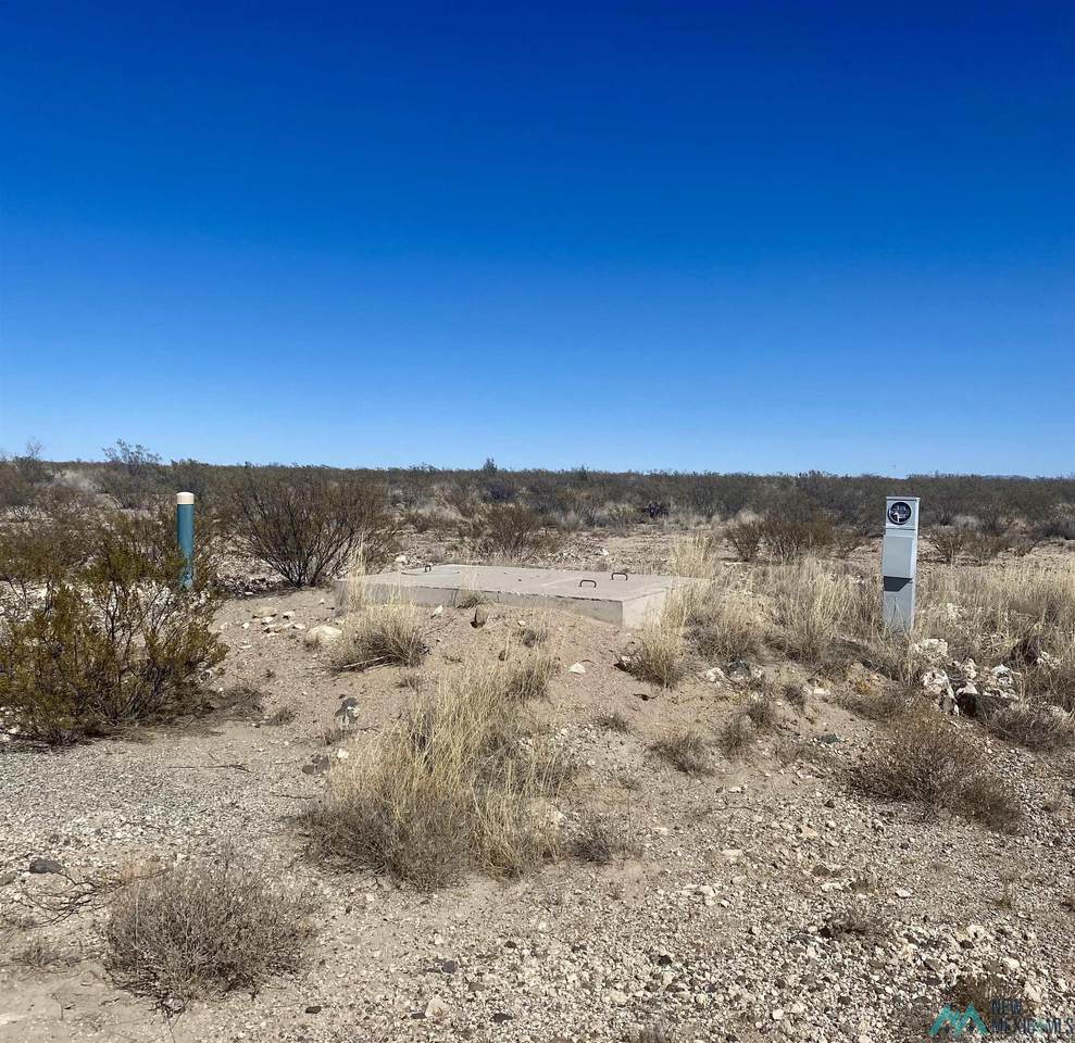 Lot 52 Armendariz Road - Photo 1