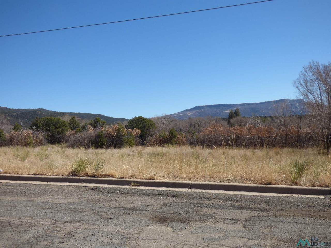 0000 Dwyer Avenue - Photo 1