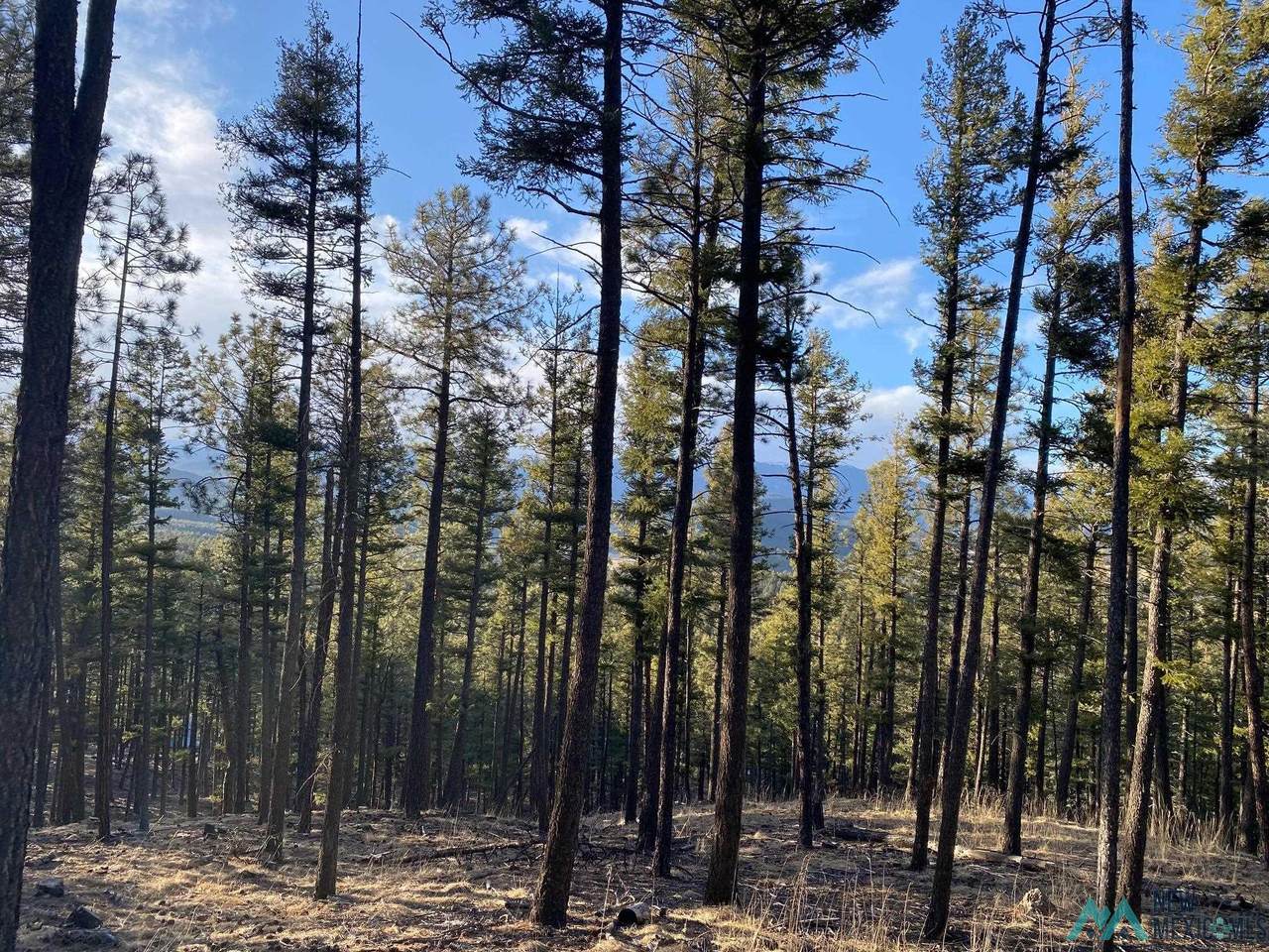 Lot 32 Timberline - Photo 1