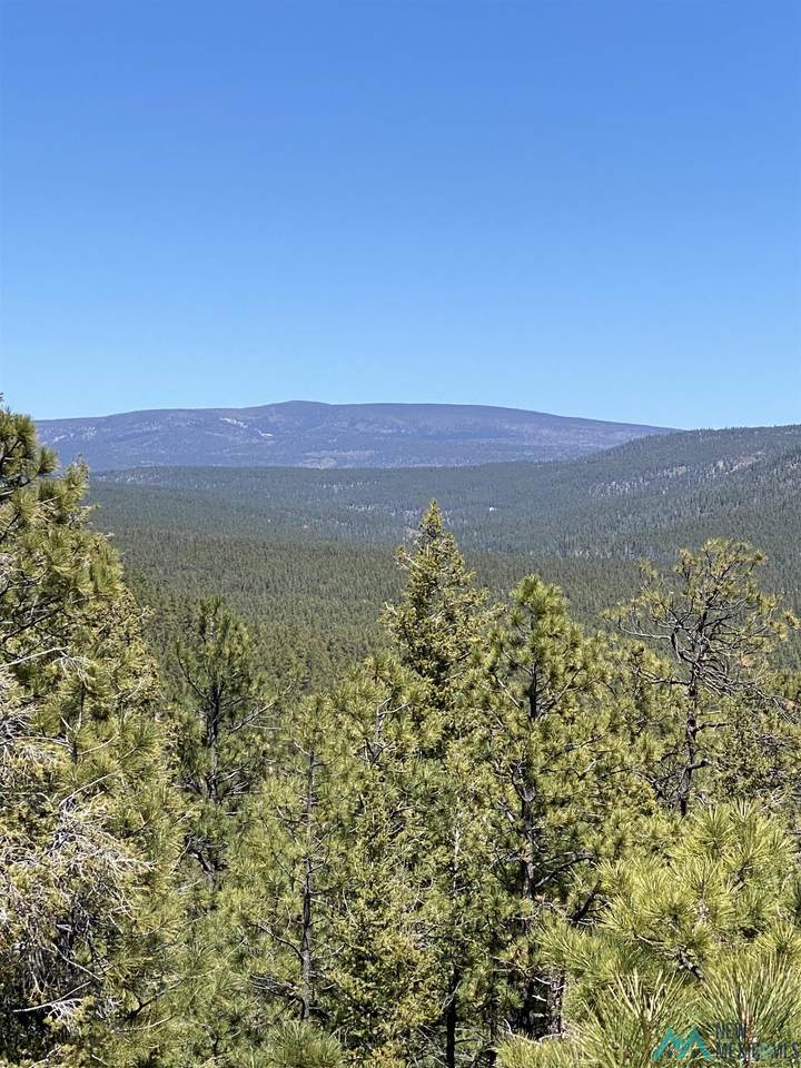 205 Rincon Rd - Photo 1