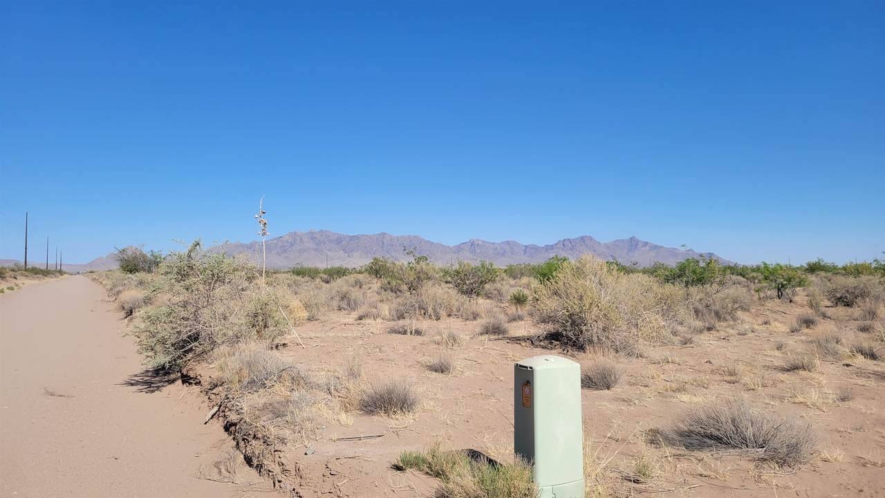 000 Majestic View - Photo 1