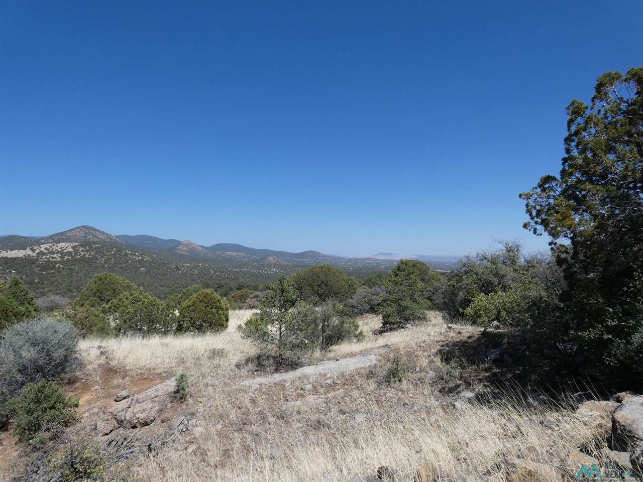 25 Forest 858 - Photo 1