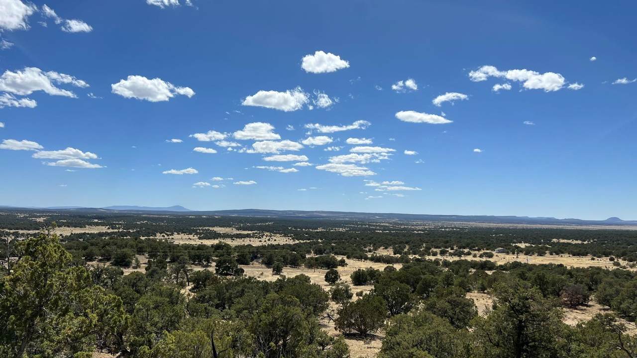 Mountain View Ranch - Photo 1