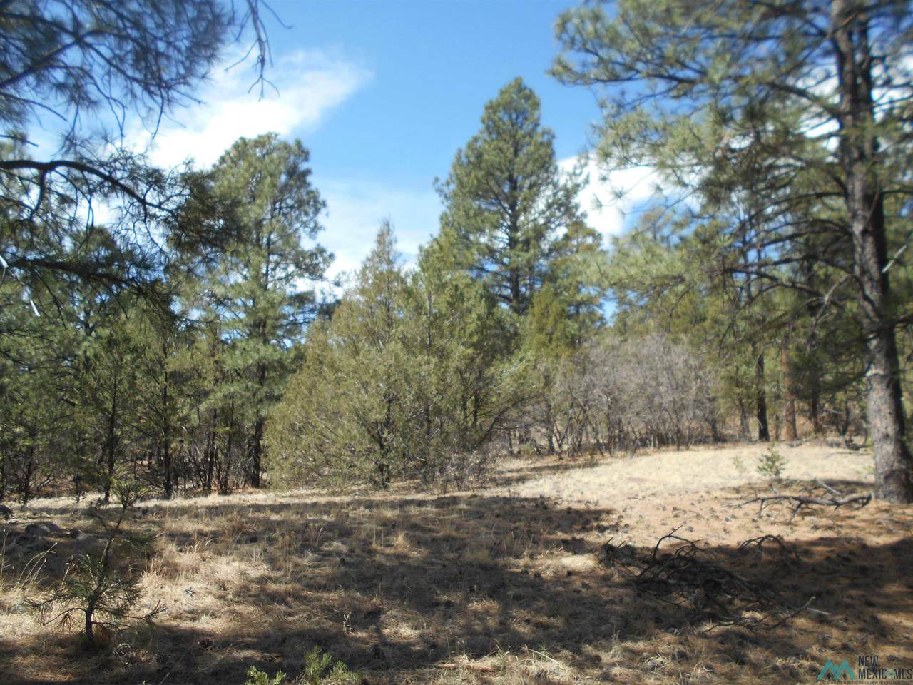 MM 22.5 Highway 518 - Photo 1