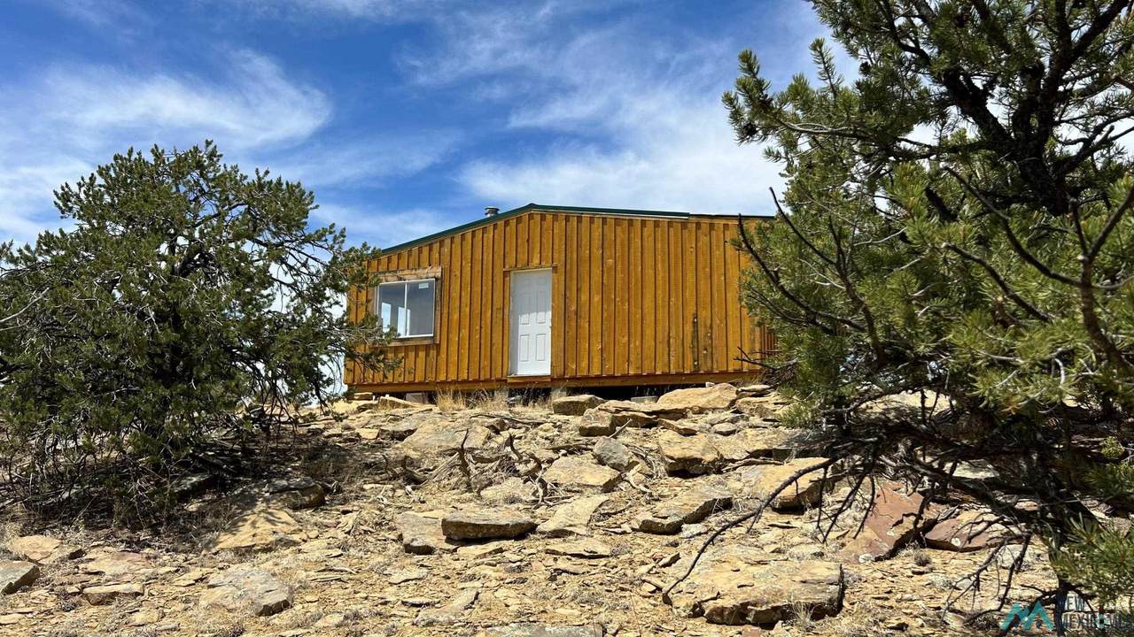 1411 York Ranch Road - Photo 1