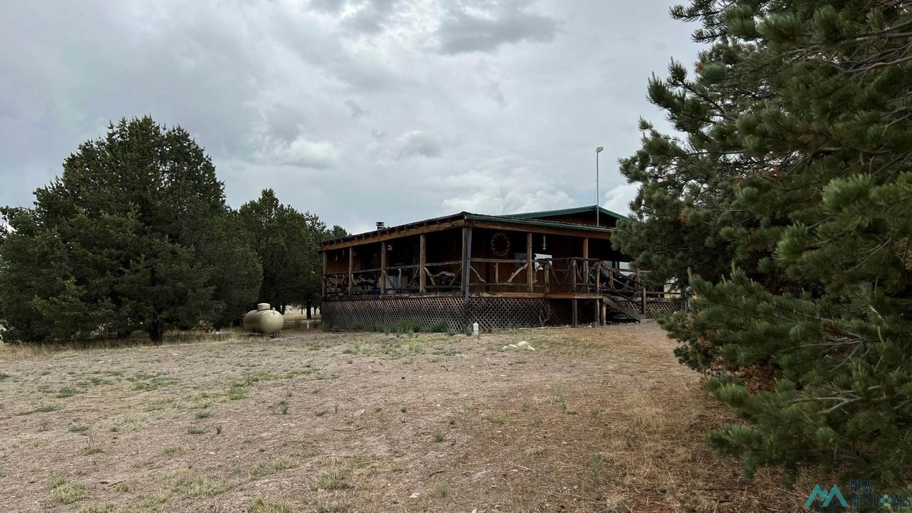 160 Golden Horseshoe - Photo 1